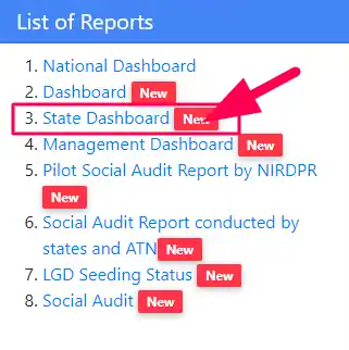 NSAP Report Deskbord